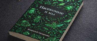 Как фольга помогает полиграфии выглядеть более премиально