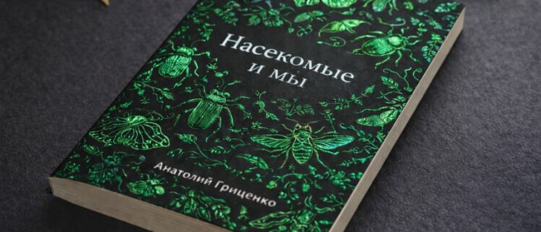 Как фольга помогает полиграфии выглядеть более премиально